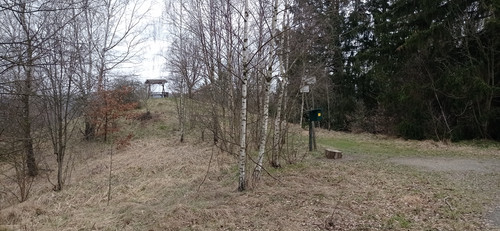 IMG 20240310 161109