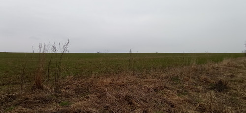 IMG 20240310 171838