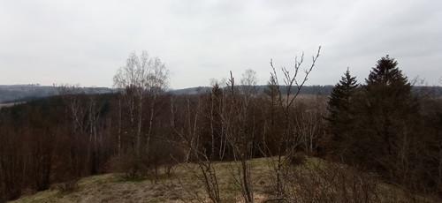 IMG 20240310 163930