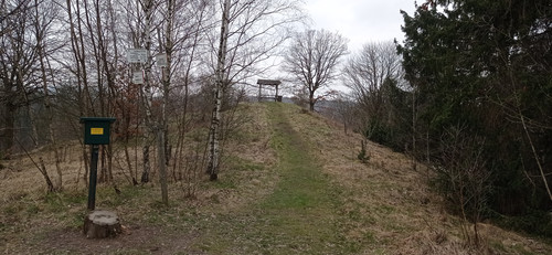 IMG 20240310 164434