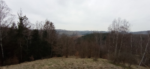 IMG 20240310 163934