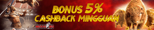 9.BONUS CASHBACK MINGGUAN.jpg