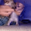 1BE027EB B32B 4E86 9A60 C3D46B36A770.gif