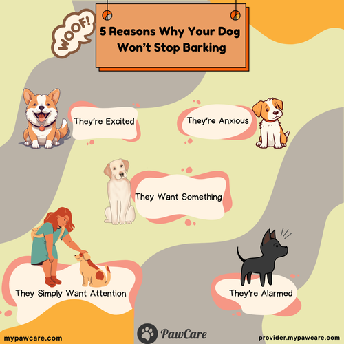 5 Reasons Why Your Dog Won’t Stop Barking.png
