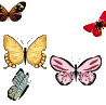animaatjes vlinders 24019