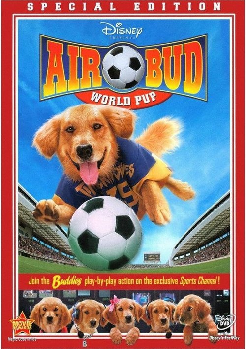 Koszykarz Buddy / Air Bud (1997) PL.1080p.BDRip.H264-wasik / Lektor PL