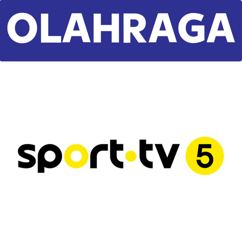 Sport TV 5.png