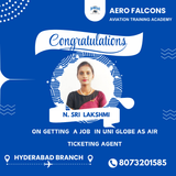 Air ticketing course ?