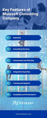 Mulesoft Consulting Company.jpg