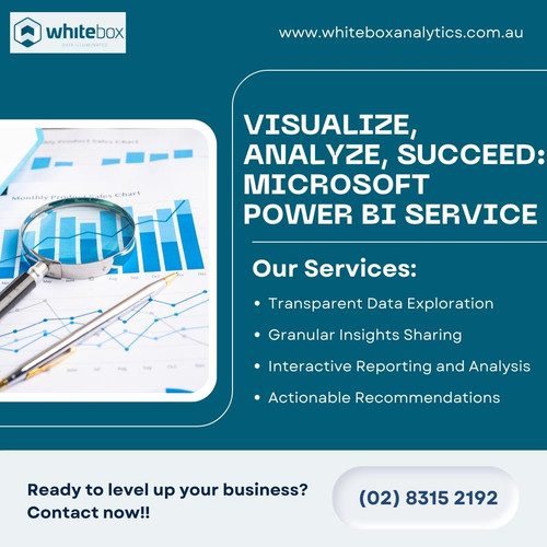 Visualize, Analyze, Succeed: Microsoft Power BI Service.jpg