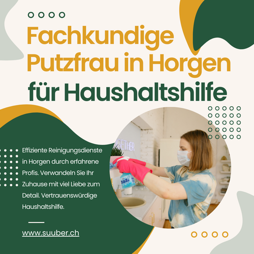 Fachkundige Putzfrau in Horgen für Haushaltshilfe.png