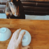 9c873687d671d3ca.out.20200523 144346.gif