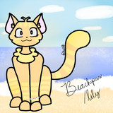 Beachpaw/lily
