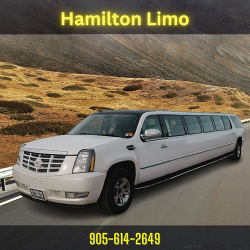 Hamilton Party Bus.jpg
