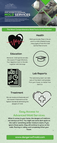 Best Mold Testing Services.jpg