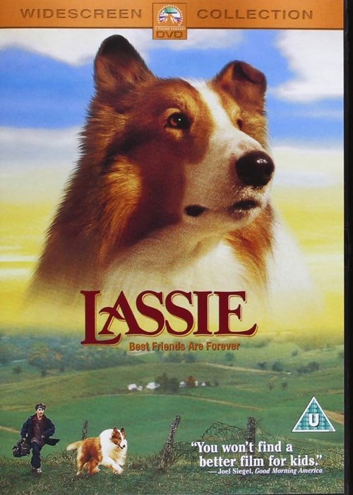 Lassie (1994) PL.1080p.BDRip.H264-wasik / Lektor PL