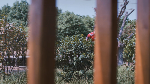 Tao.li.xian.chang.2017.2160p.WEB DL.AAC.H265 MISS.mkv 20240321 131535.028.png