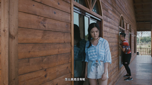 Tao.li.xian.chang.2017.1080p.WEB DL.AAC.H264 MISS.mkv 20240321 131331.228.png