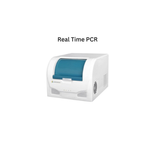 Real Time PCR.jpg