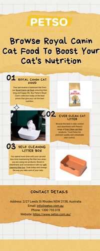 Browse Royal Canin Cat Food To Boost Your Cat's Nutrition.png