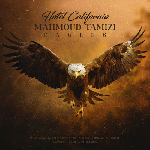 دانلود آهنگ محمود تمیزی به نام هتل کالیفرنیا
