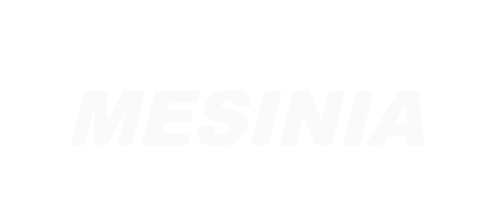 29 min.png