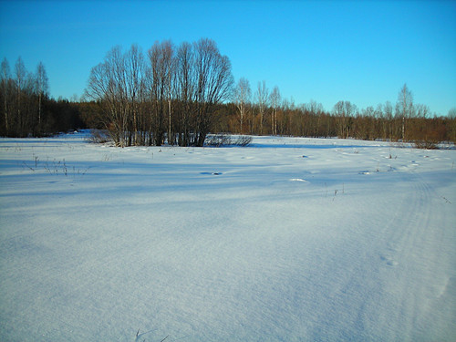 DSCN2262 1 1.jpg