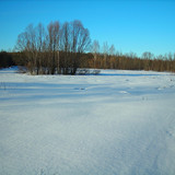 DSCN2262 1 1