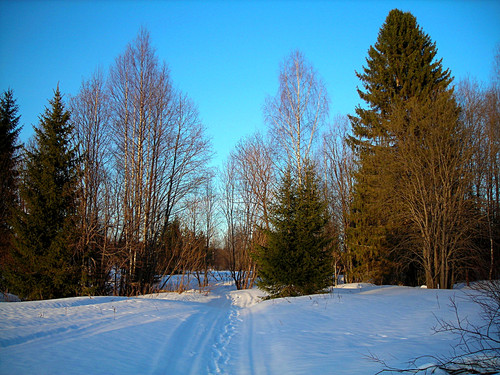 DSCN2274 1 1.jpg