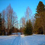 DSCN2274 1 1