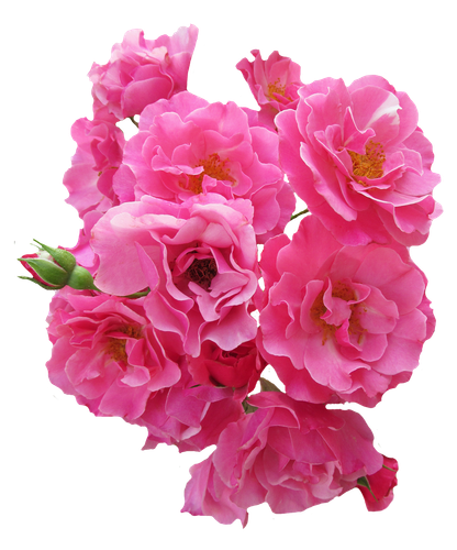 0ea482cbf33c2d15b757c09f82056a39.png