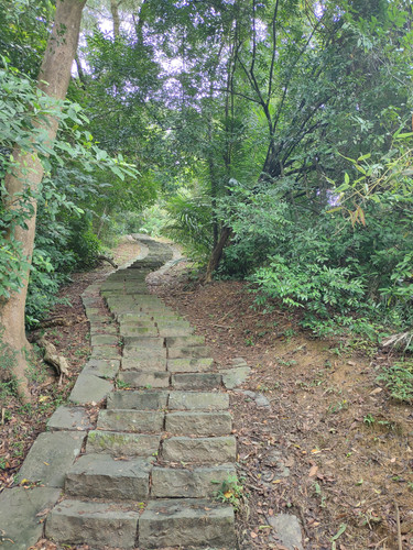 IMG20231007110705.jpg