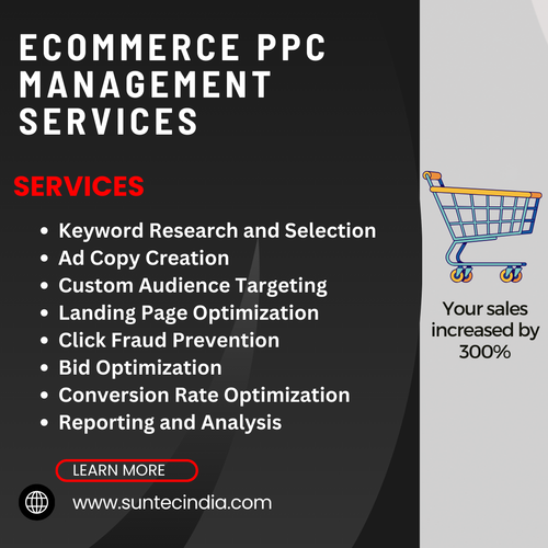 Boost Your Ecommerce Success: PPC Management.png