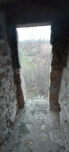 IMG 20240315 112739