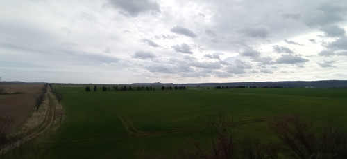 IMG 20240315 113424