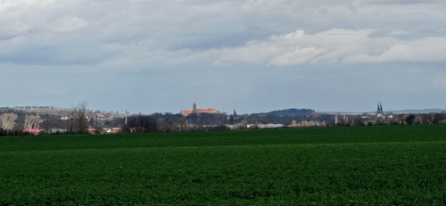IMG 20240315 131903