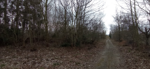 IMG 20240315 123417