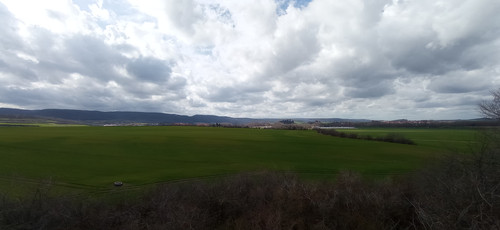 IMG 20240315 132807