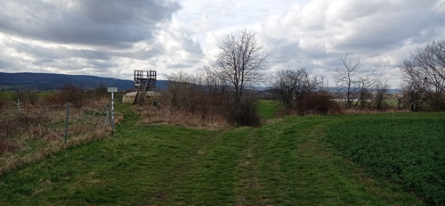 IMG 20240315 131614