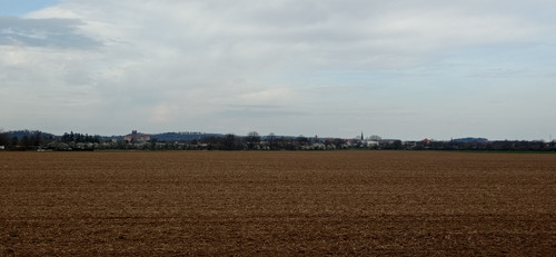 IMG 20240315 104144