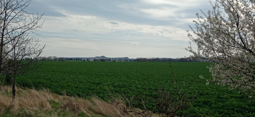 IMG 20240315 110212