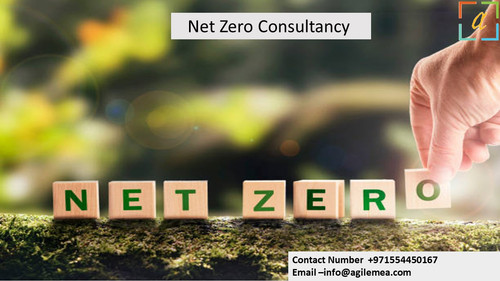 Net Zero consultancy.jpg