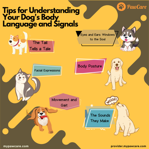 Tips for Understanding Your Dog's Body Language and Signals.png
