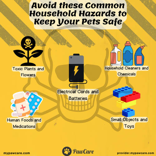 Avoid these Common Household Hazards to Keep Your Pets Safe.png
