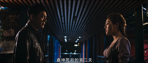 Special.Forces.Return.2.Black.Poppy.2019.1080p.WEB DL.AAC.H265.HDR MISS.mkv 20240317 234026.423.png