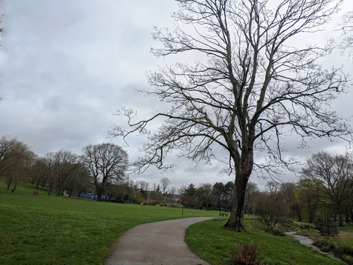 Spinney Hill Park Leicester- 2024 March 17th
