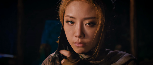 The.Return.of.Special.Forces.1.The.Wrath.of.the.Blood.Wolf.2019.2160p.WEB DL.AAC.H265 MISS.mkv 20240.png