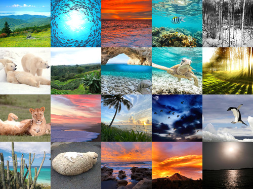 ' Glorified is The Mighty Creator  '.jpg