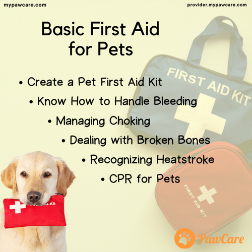 Basic First Aid for Pets.png
