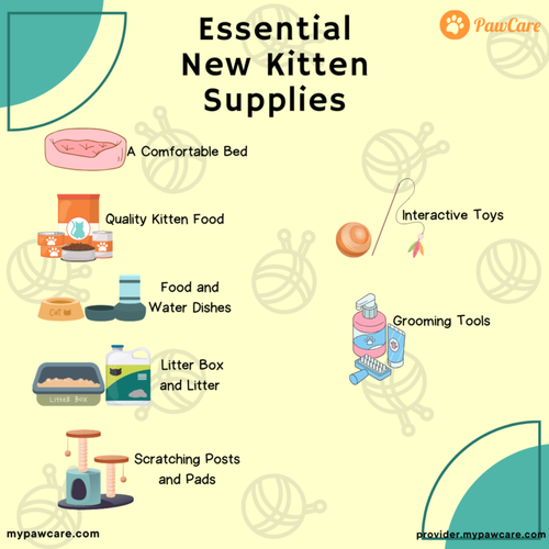 Essential New Kitten Supplies.png